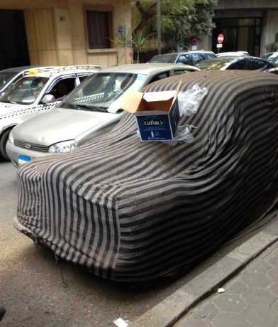 Maybe this owner is not coming back soon?