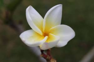 1002122_10151752372895535_573452497_n