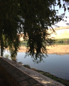 Kitchener's Island Botanical Park near Aswan