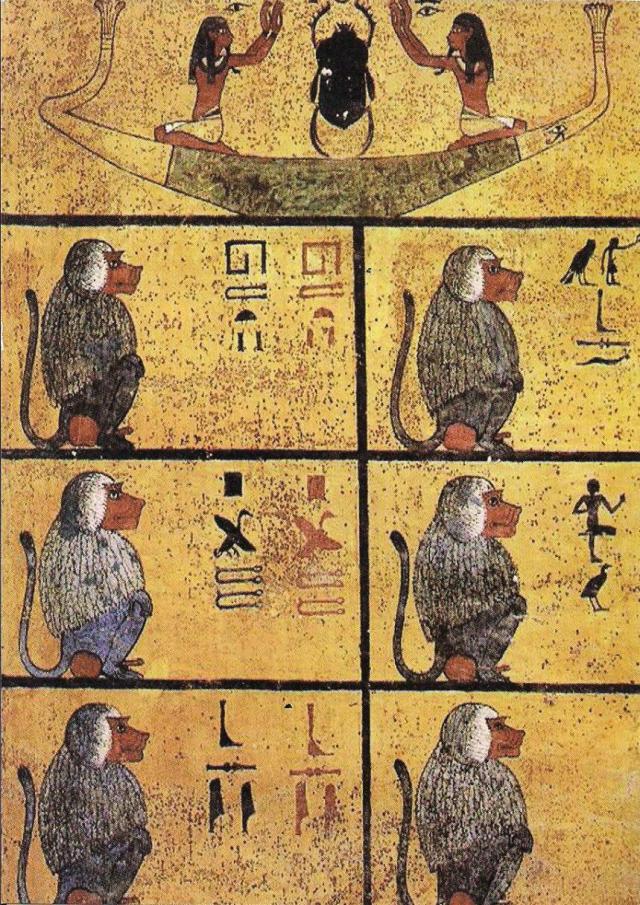 monkey - tutenkhamun